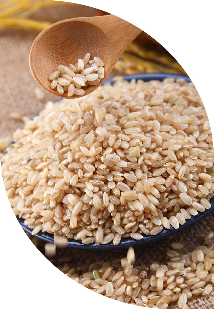 【0418商城超市】天地粮人 精品 糙米 1.25kg（无添加 东北 五谷 杂粮 粗粮 真空装 含胚芽 大米 粥米伴侣）-0418商城