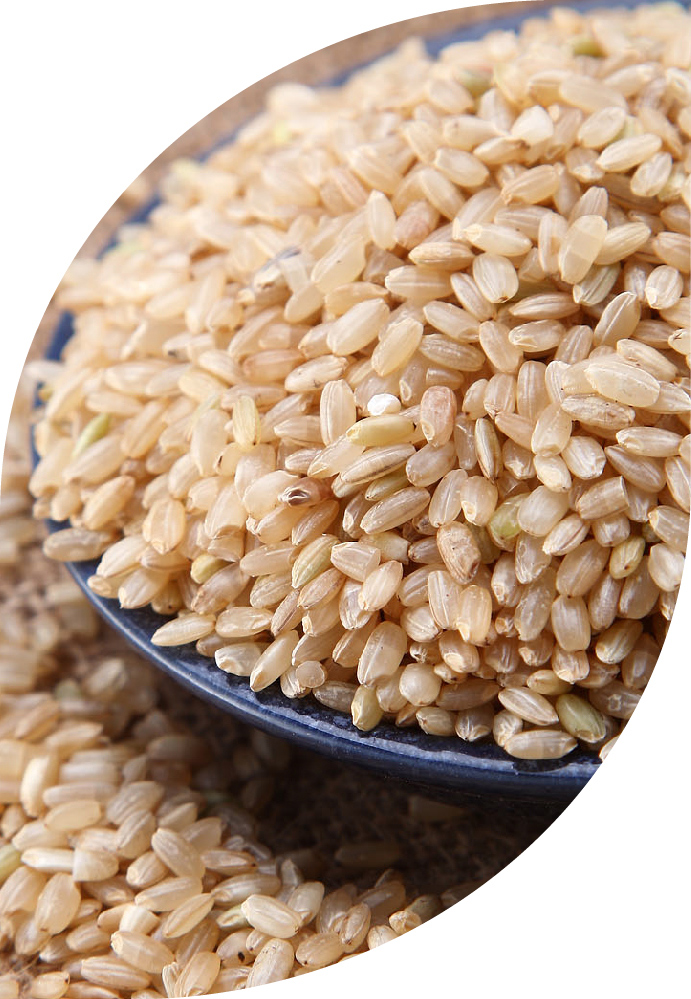 【0418商城超市】天地粮人 精品 糙米 1.25kg（无添加 东北 五谷 杂粮 粗粮 真空装 含胚芽 大米 粥米伴侣）-0418商城